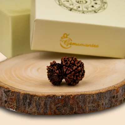 1_00beae2a-f41e-42f0-b7ec-c92054326431